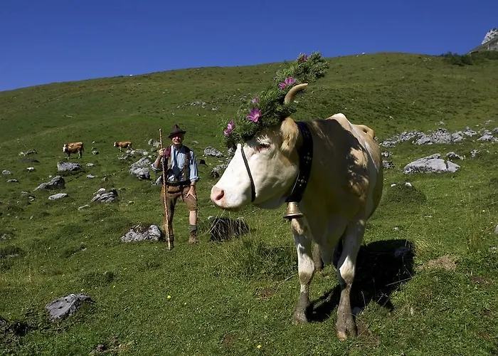 Chalet Diana Le Sépey